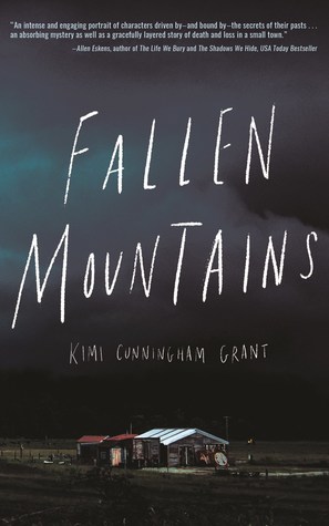 Fallen Mountains by Kimi Cunningham Grant @kimicgrant @amberjackpub ‏