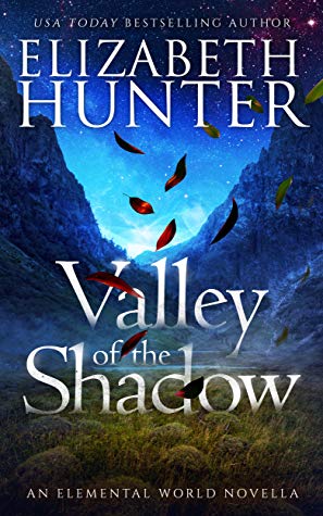 Valley of the Shadow by Elizabeth Hunter @EHunterWrites @jennbeachpa