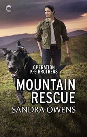 Mountain Rescue by Sandra Owens @SandyOwens1 @CarinaPress