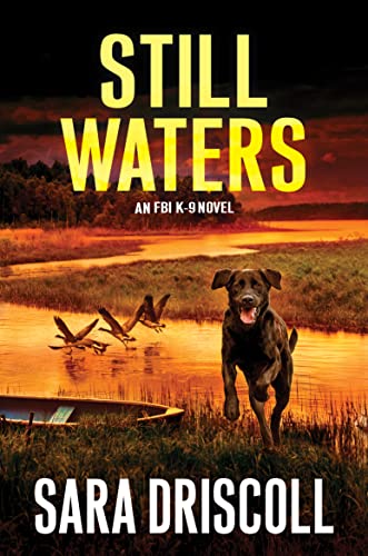 Still Waters by Sara Driscoll