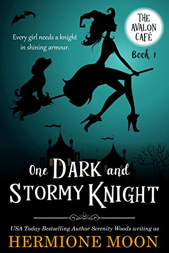 Thrifty Thursday:  One Dark and Stormy Knight by Hermione Wood @sophiarose1618  #ThriftyThursday #KindleUnlimited