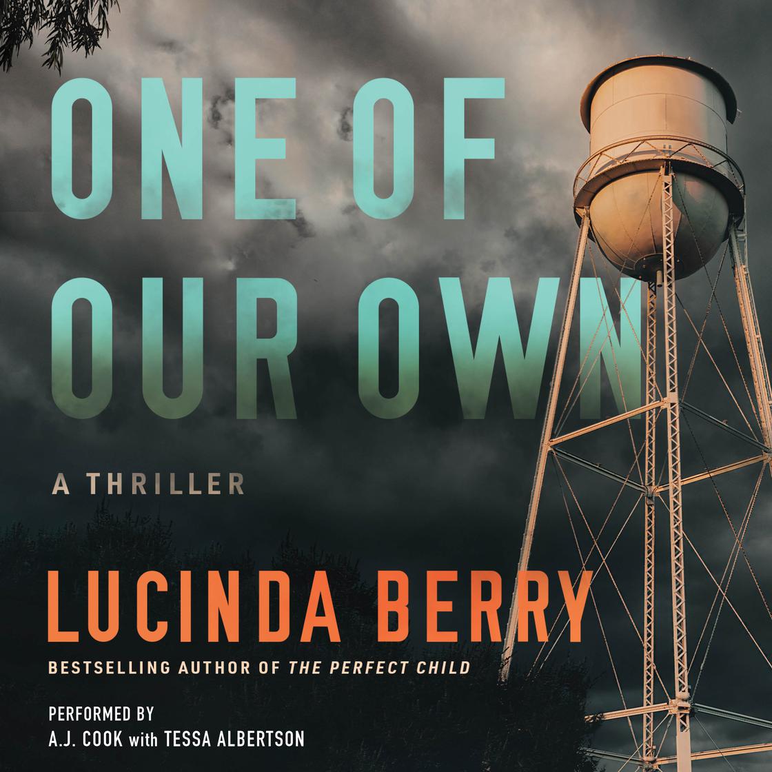 One of Our Own by Lucinda Berry