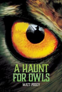 A Haunt for Owls by Matt Posey #MattPosey‏ #RedemptionPress @SnyderBridgeFour #KindleUnlimited