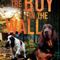 The Boy in the Wall by Jeffrey B. Burton #JeffreyBBurton @severnhouse.bsky.social