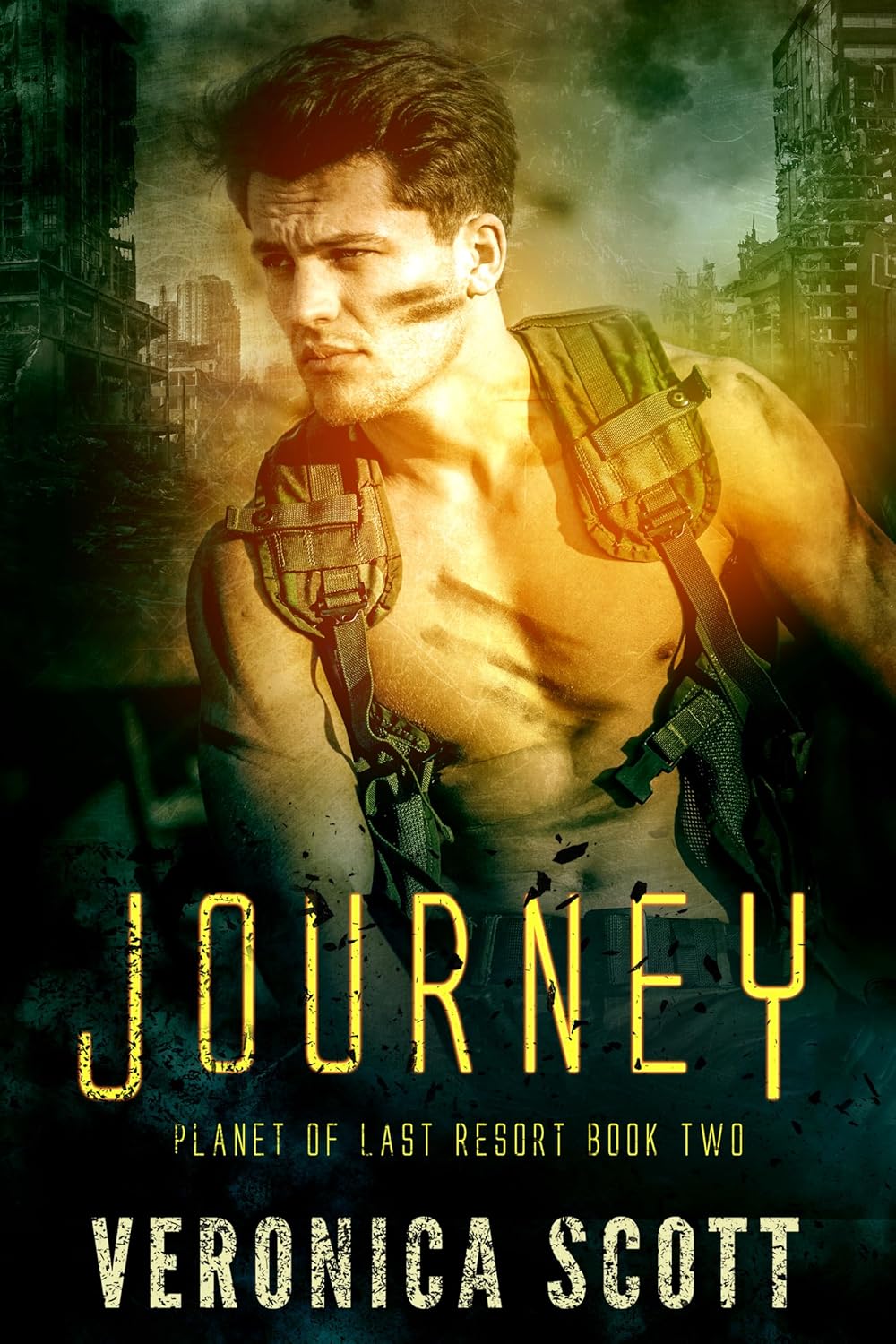 Journey by Veronica Scott